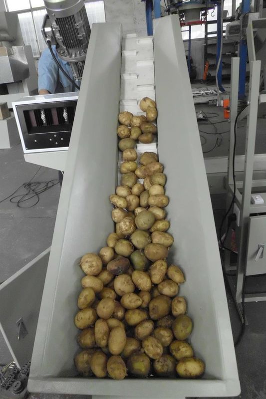 Usine mobile adaptée aux besoins du client 2.5KW d'ensachage de machine à emballer de pomme de terre